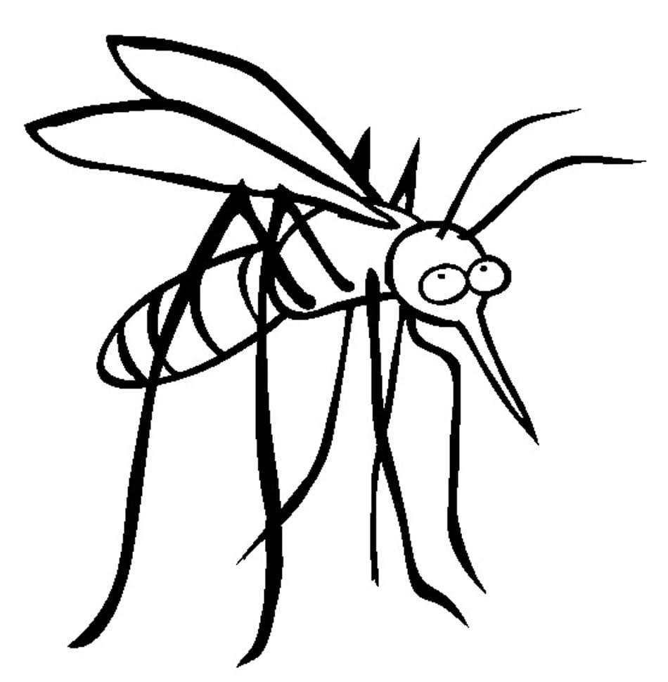 Free Printable Mosquito