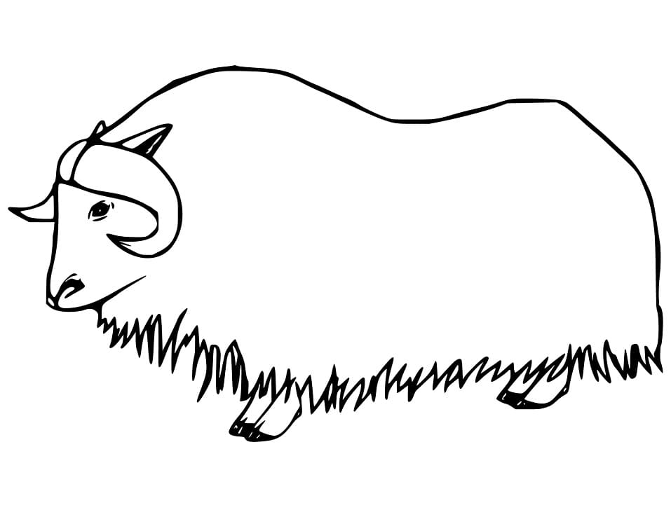 Free Printable Musk Ox Coloring Page