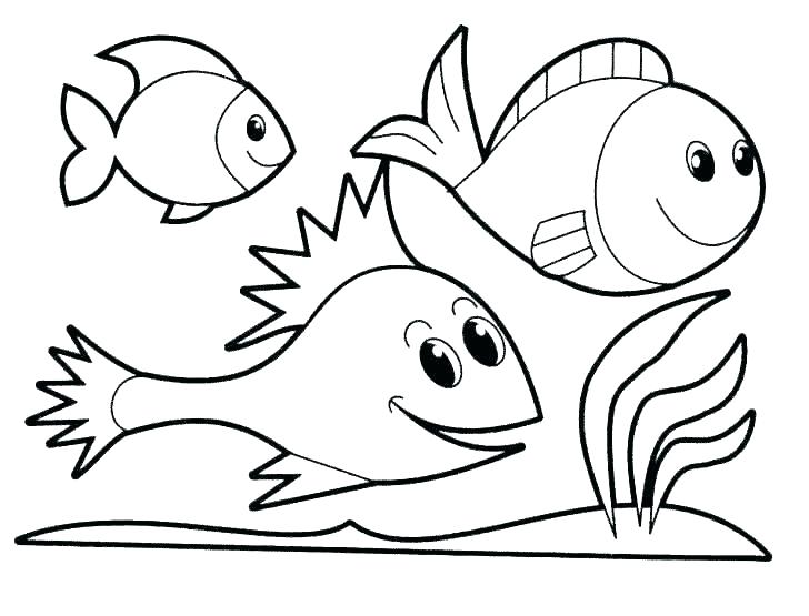 free printable ocean animals coloring pages coloring cool