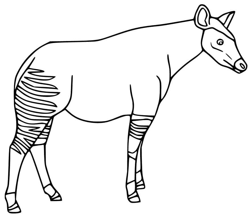 Free Printable Okapi Coloring Page