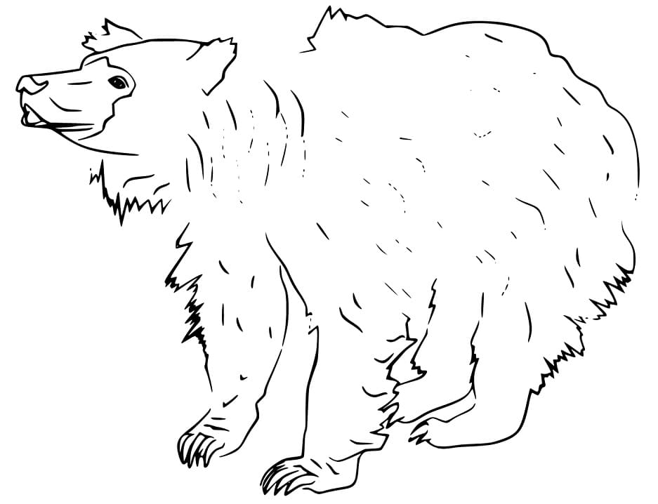 Free Printable Sloth Bear Coloring Page
