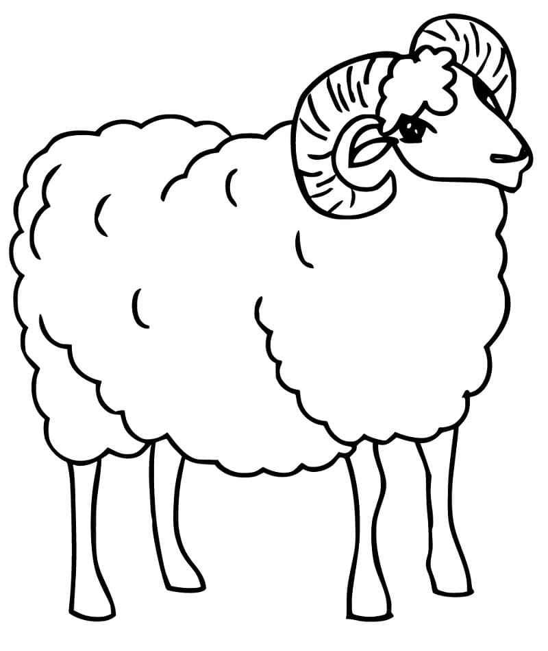 Free Ram Coloring Page