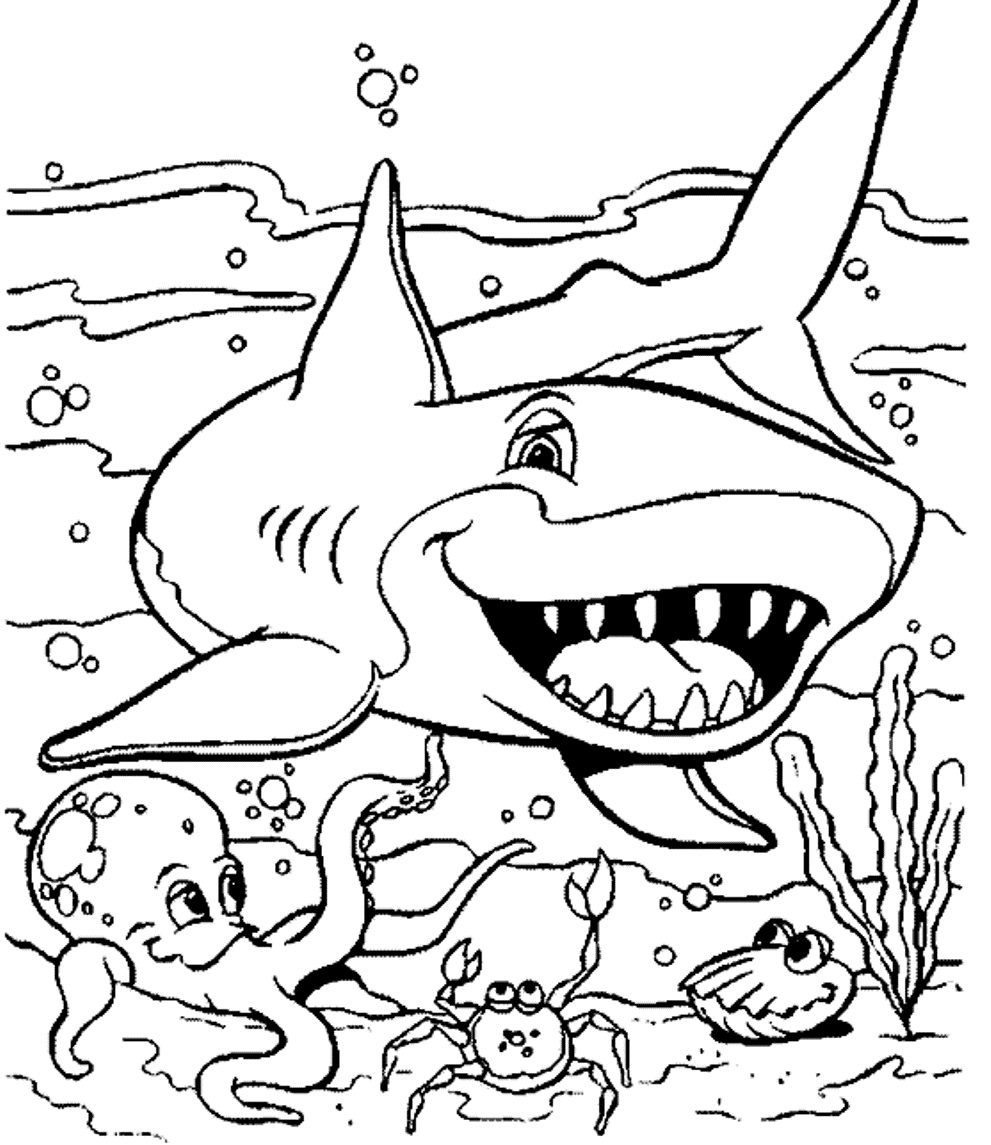 Free S Of Sea Animalsb6bd Coloring Page