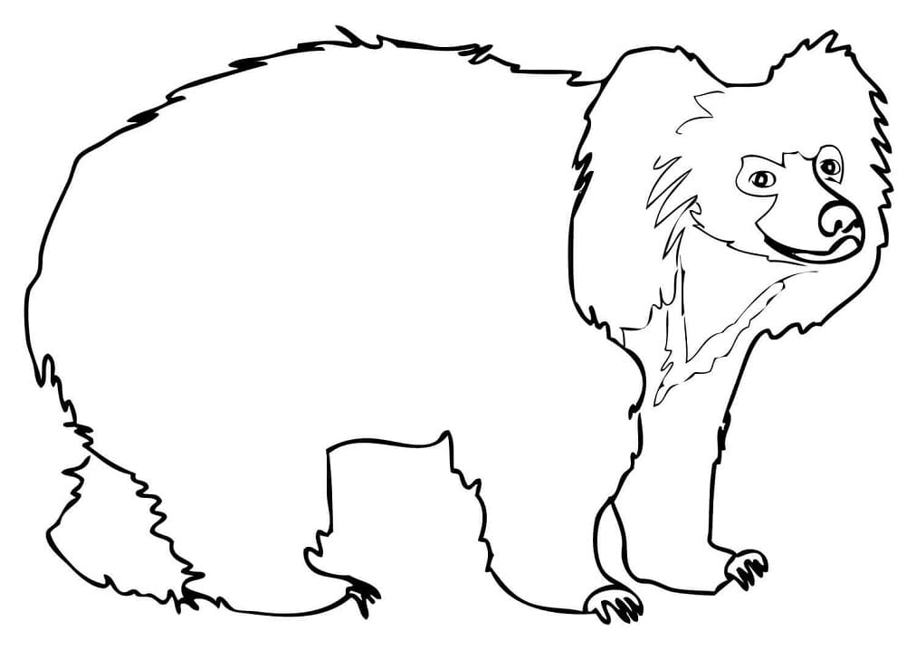 Free Sloth Bear Coloring Page