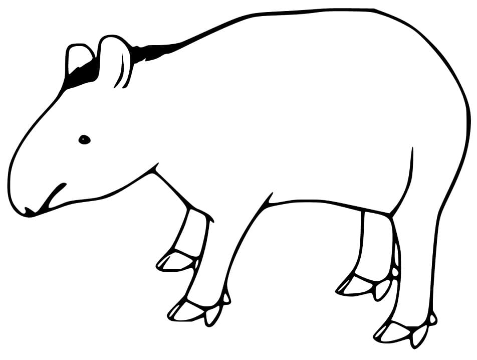 Free South American Tapir