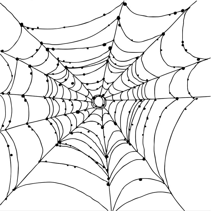Free Spider Web