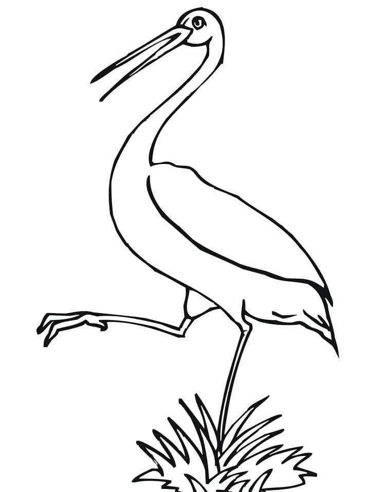 Free Stork