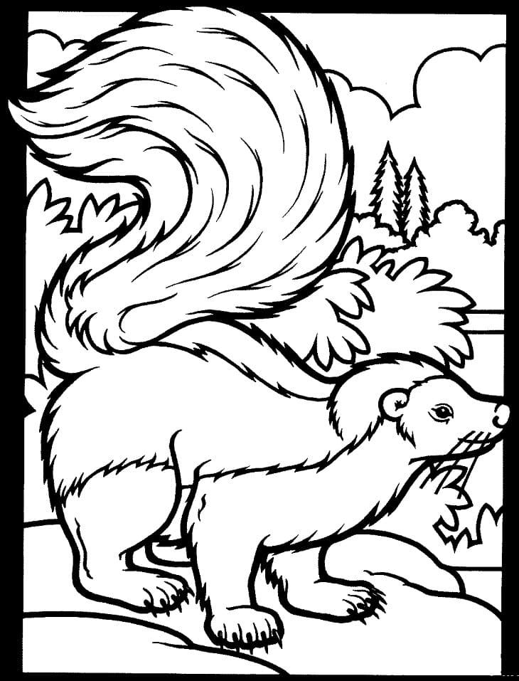 Free Striped Skunk Coloring Page