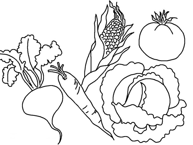 Free Vegetables Printable Coloring Page