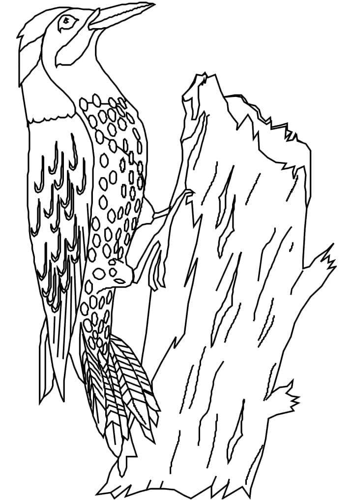 Free Woodpecker Coloring Page