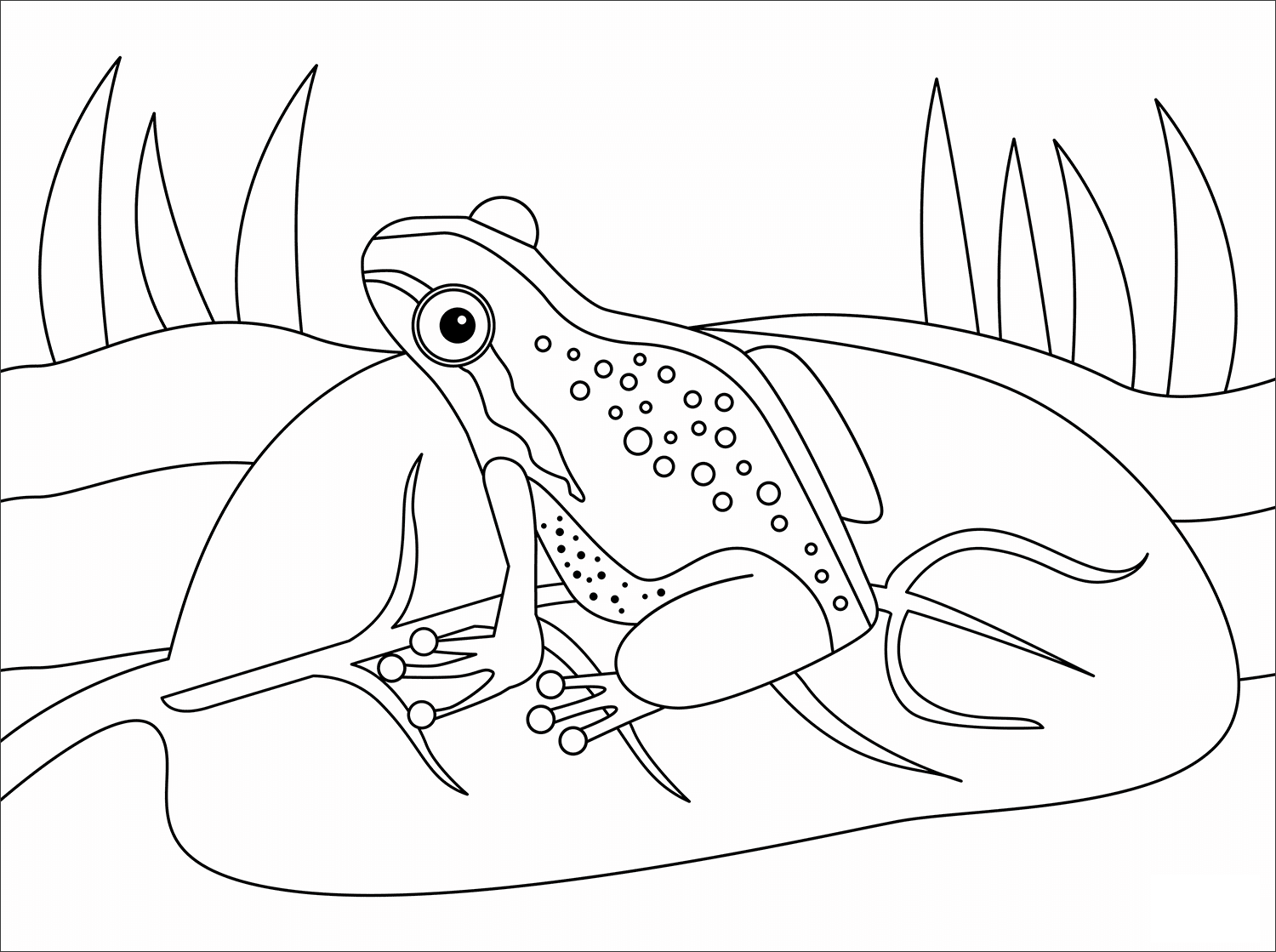 Frog Animal Simple Coloring Page