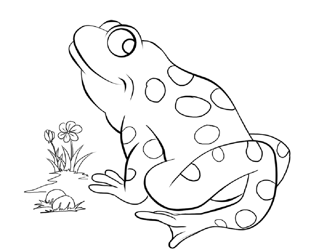 Frog Printables Coloring Pages   Coloring Cool