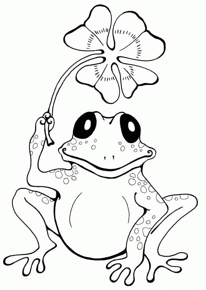Frog with Four Leaf Clover Coloring Page