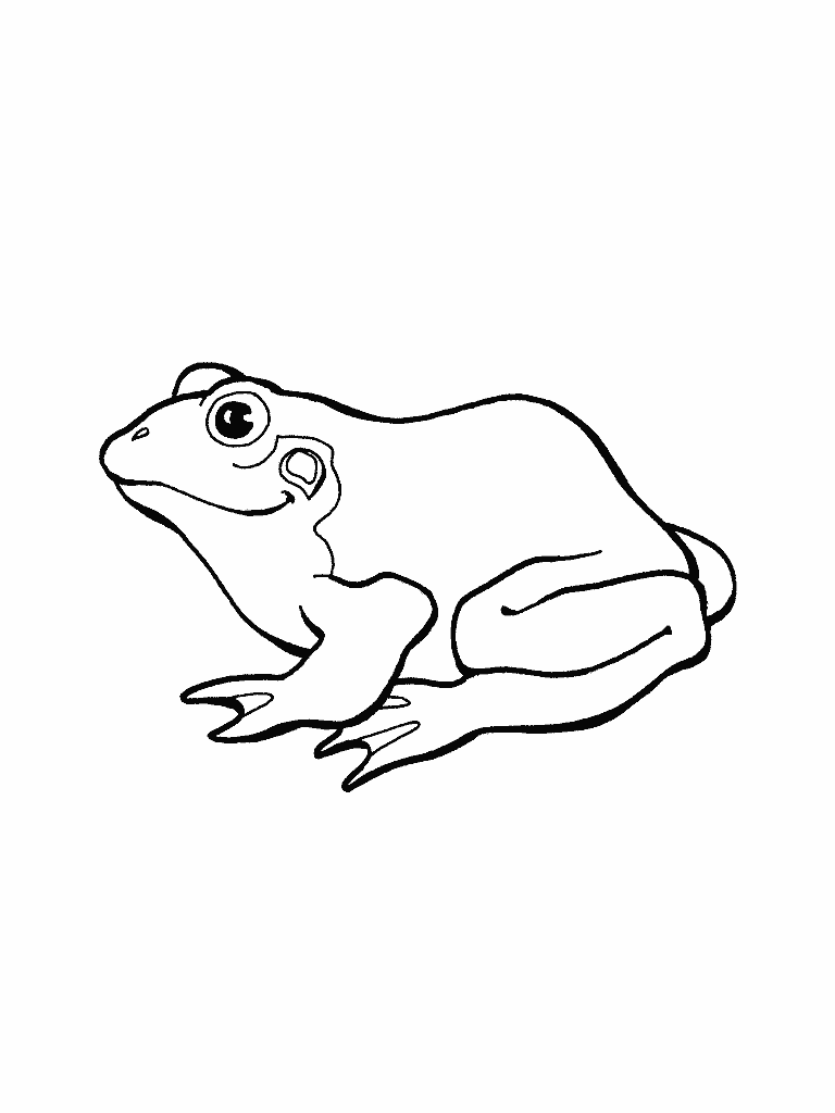 Frogs Printable