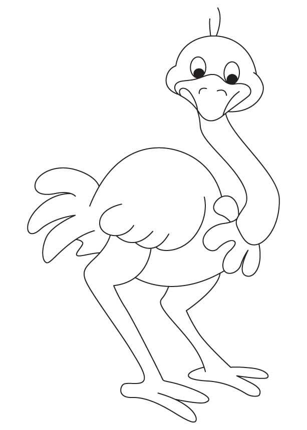 Fun Ostrich Coloring Page