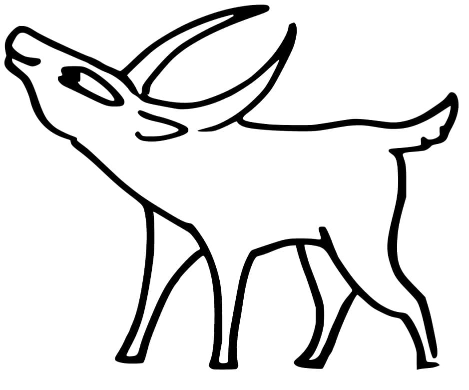 Funny Antelope Coloring Page