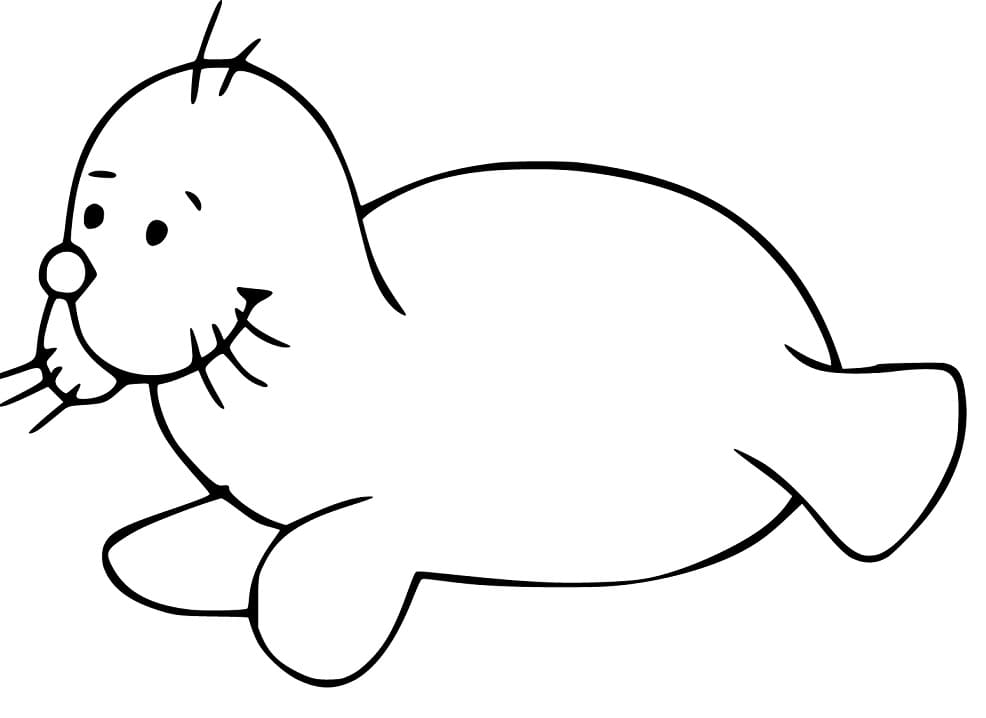 Funny Baby Seal Coloring Page