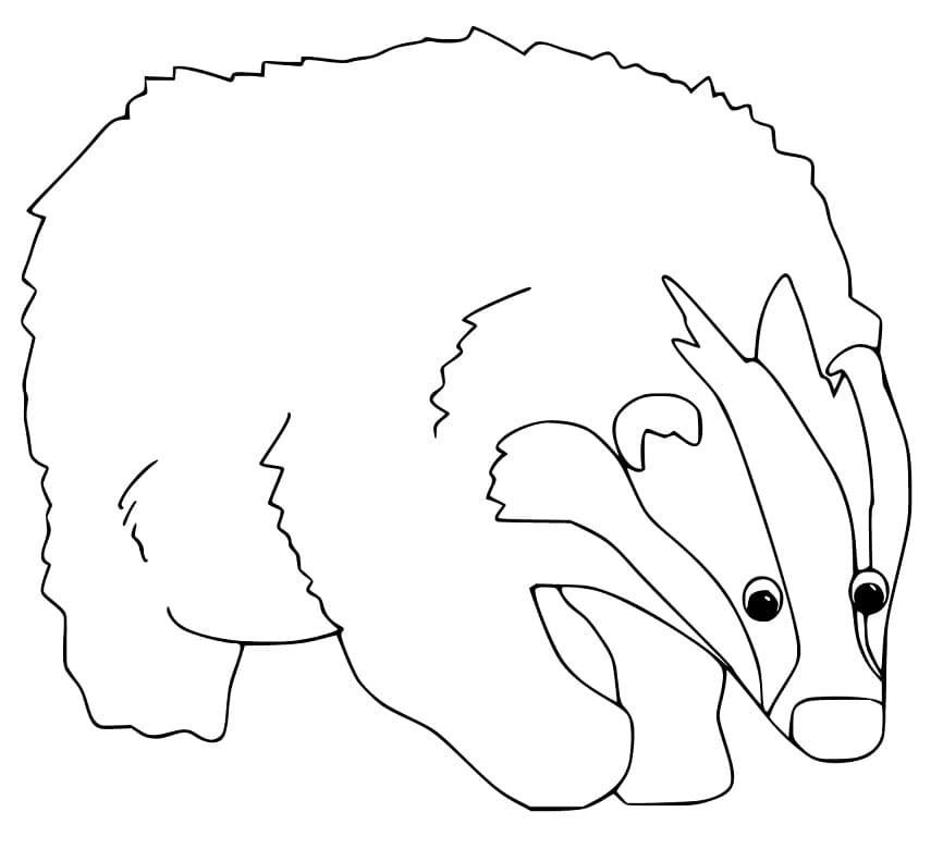 Funny Badger Coloring Page