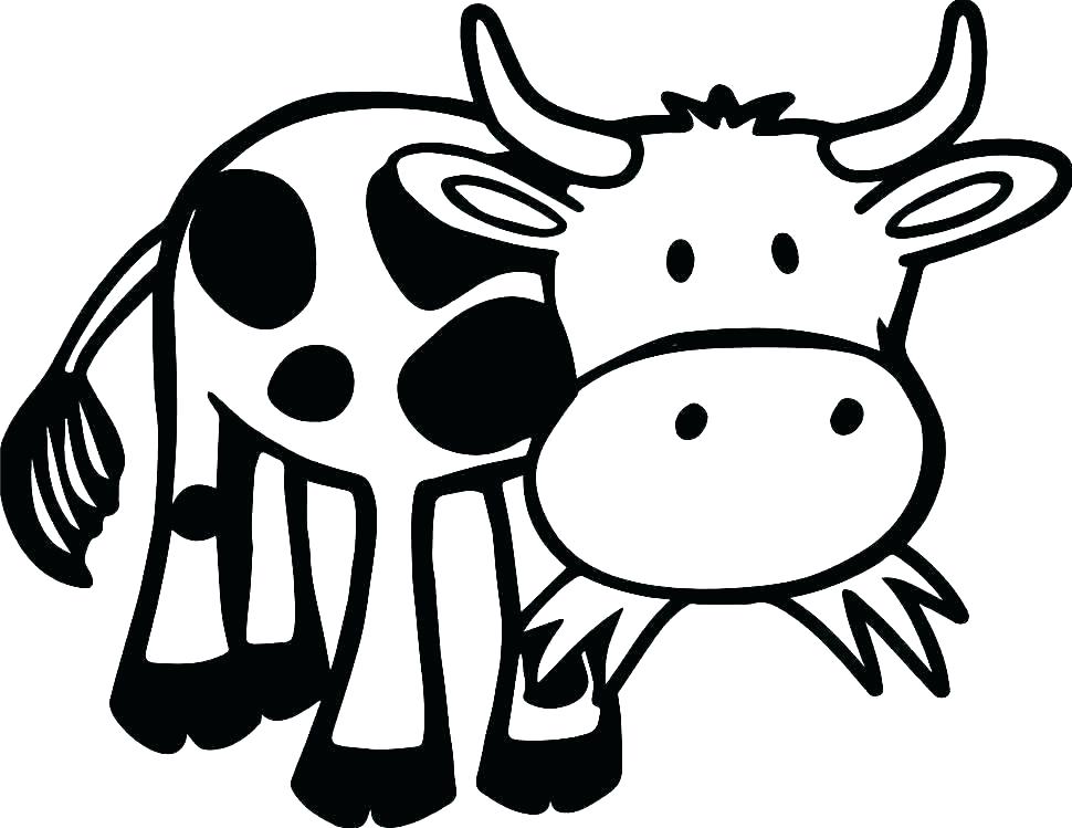Funny Cow Eating Grass Coloring Page