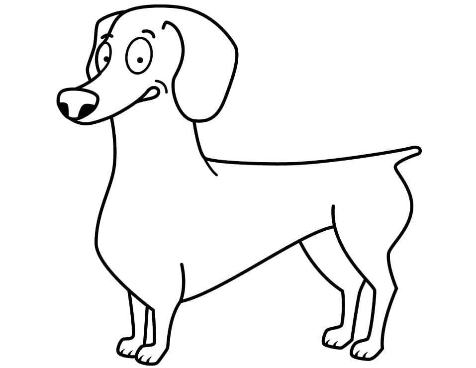 Funny Dachshund Coloring Page