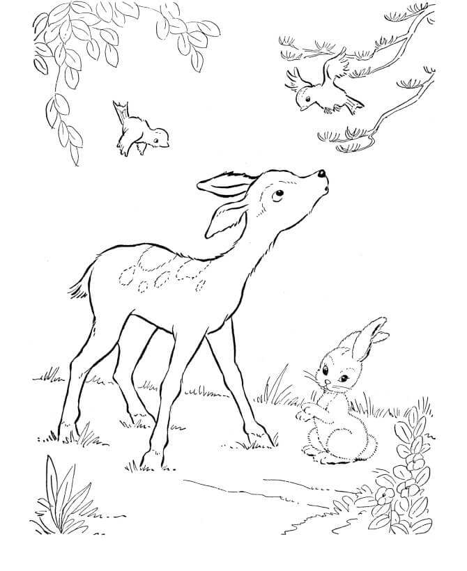 Funny Deer Coloring Page