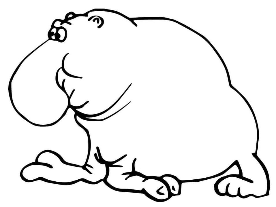 Funny Elephant Seal Coloring Page