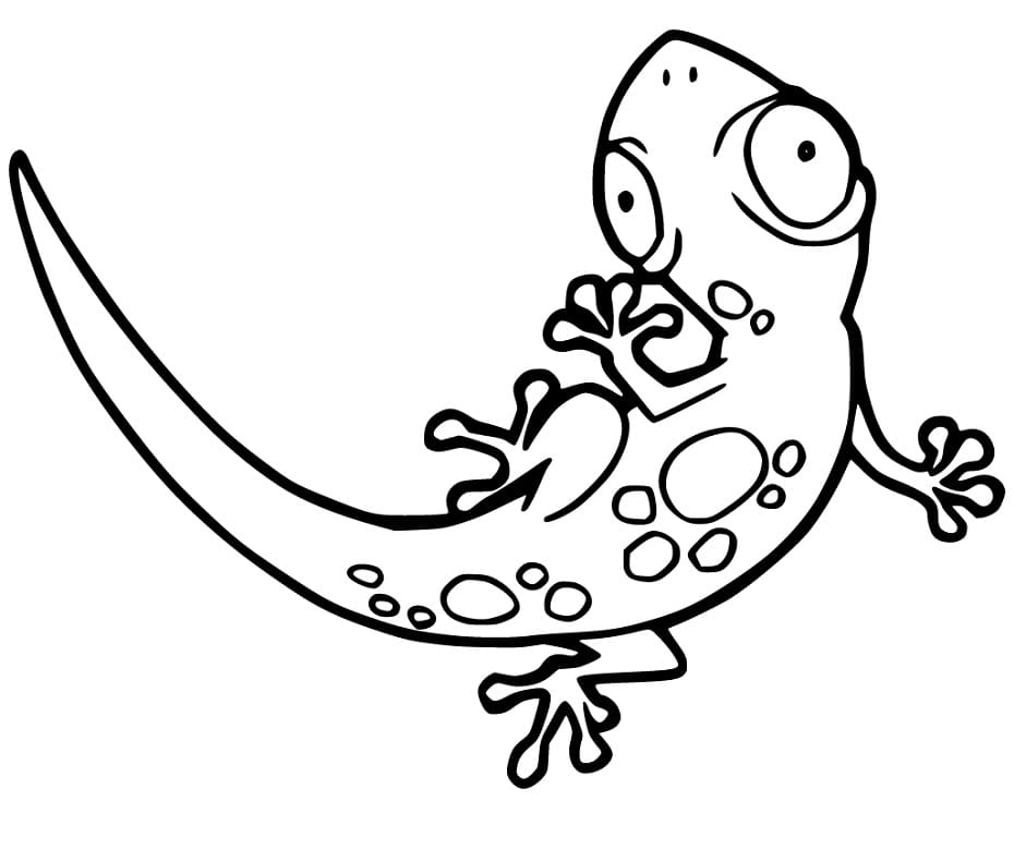 Funny Gecko Coloring Page