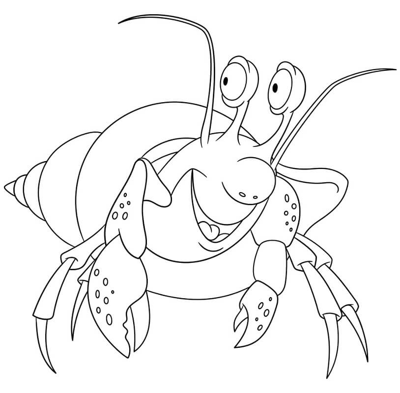 Funny Hermit Crab Smiling