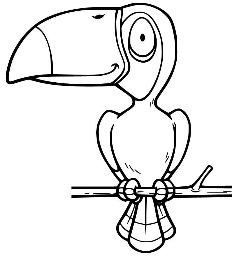 Funny Hornbill