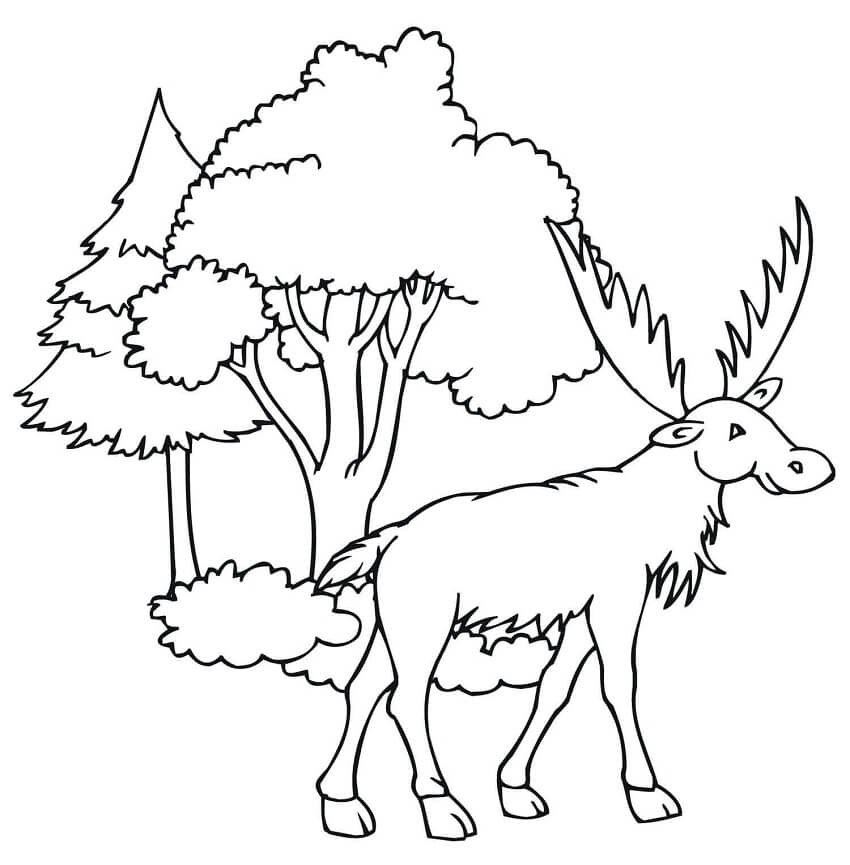 Funny Moose Coloring Page