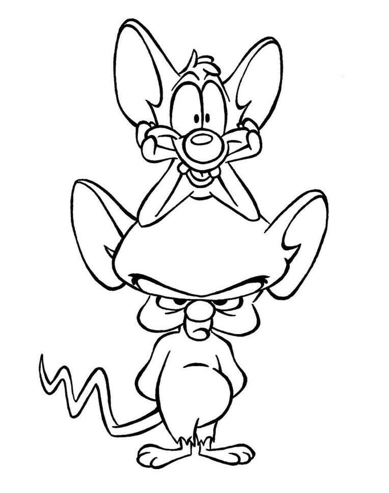 Funny Pinky and the Brain Coloring Page