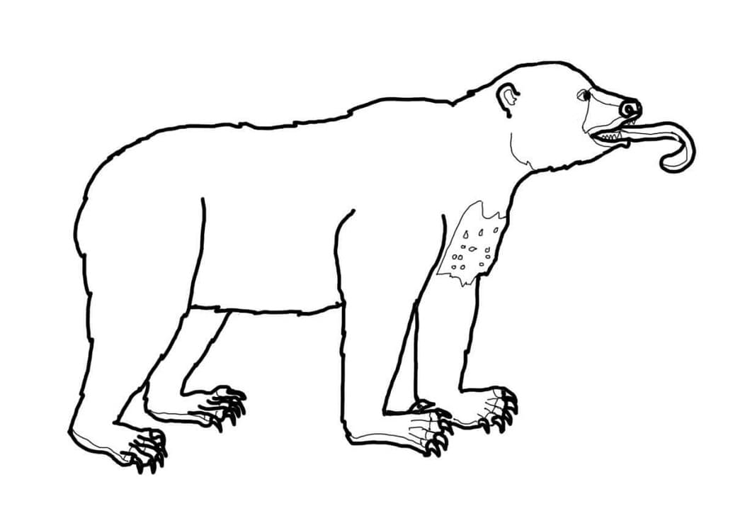 Funny Sun Bear Coloring Page