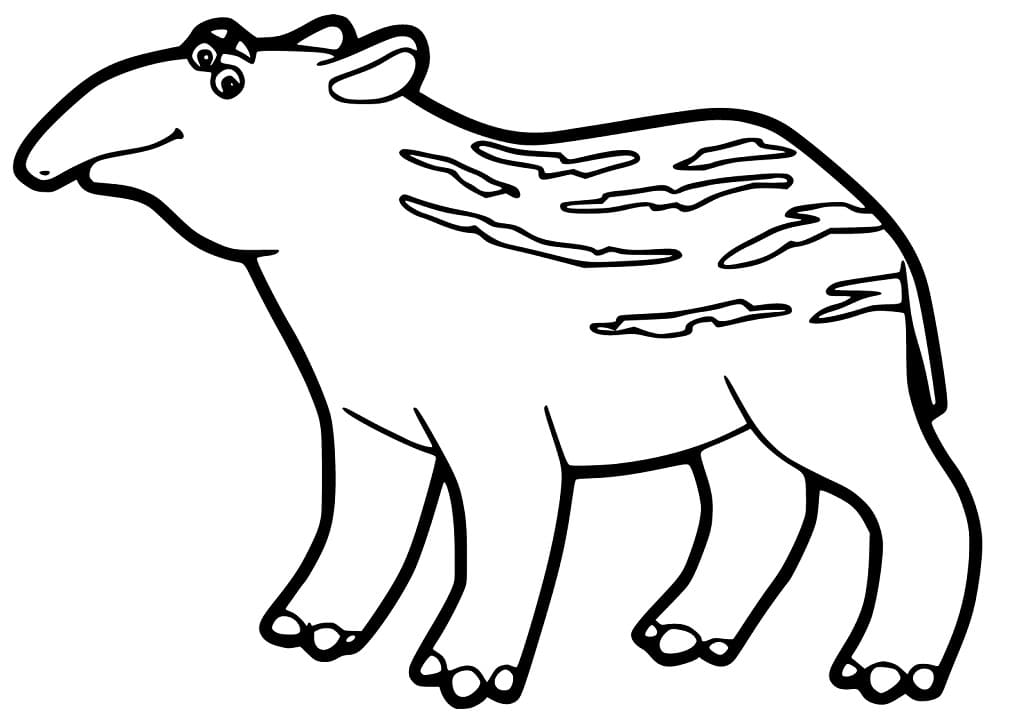 Funny Tapir