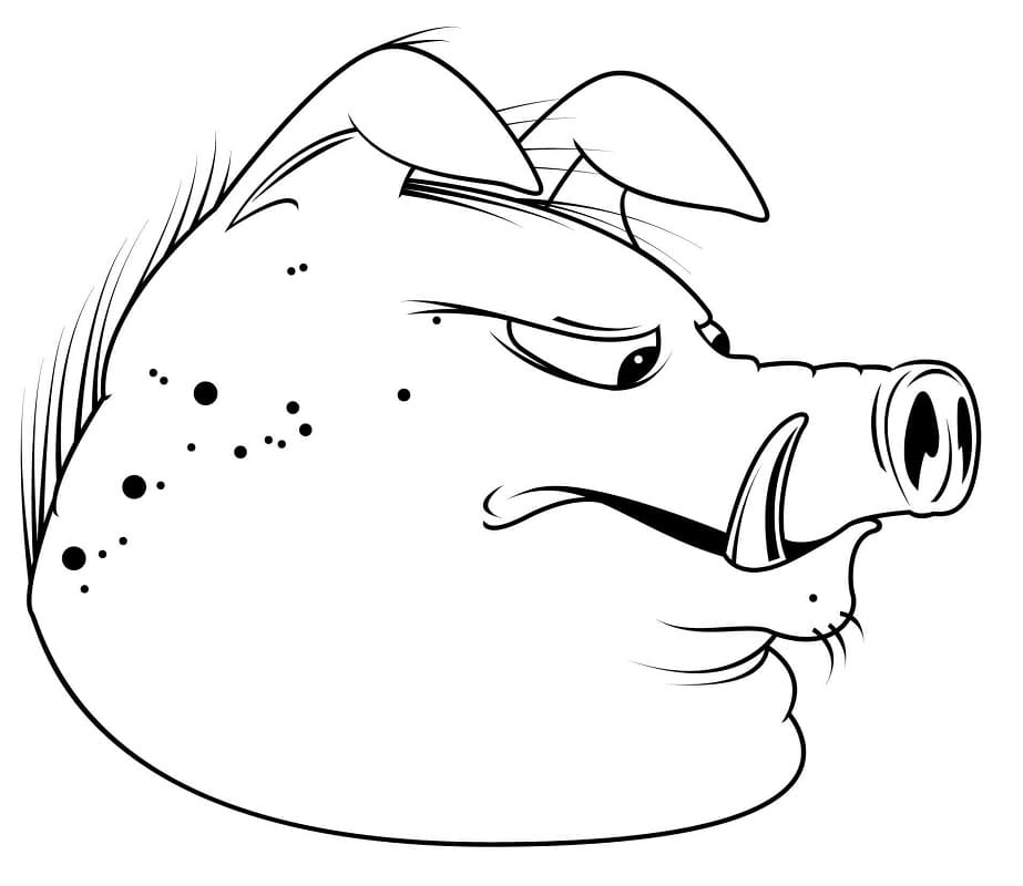 Funny Warthog Head Coloring Page