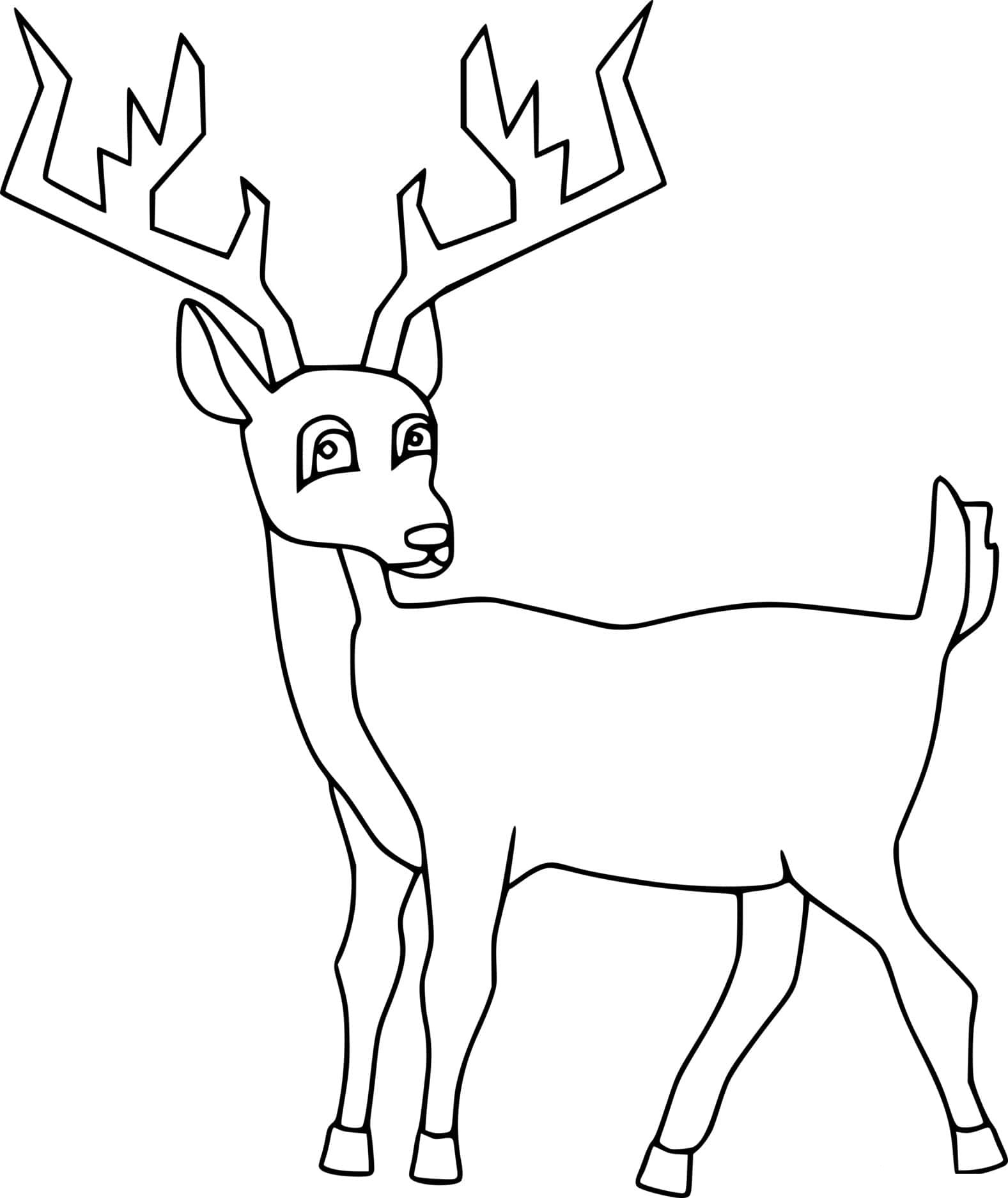 Funny White Tailed Deer Coloring Page