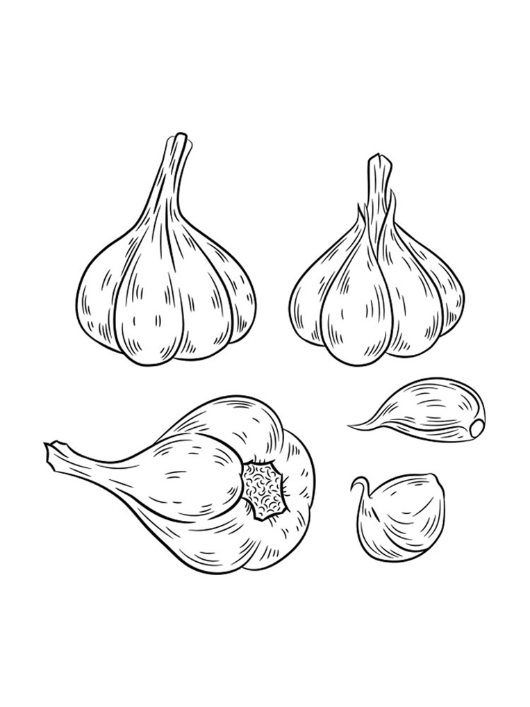 Garlic Printable