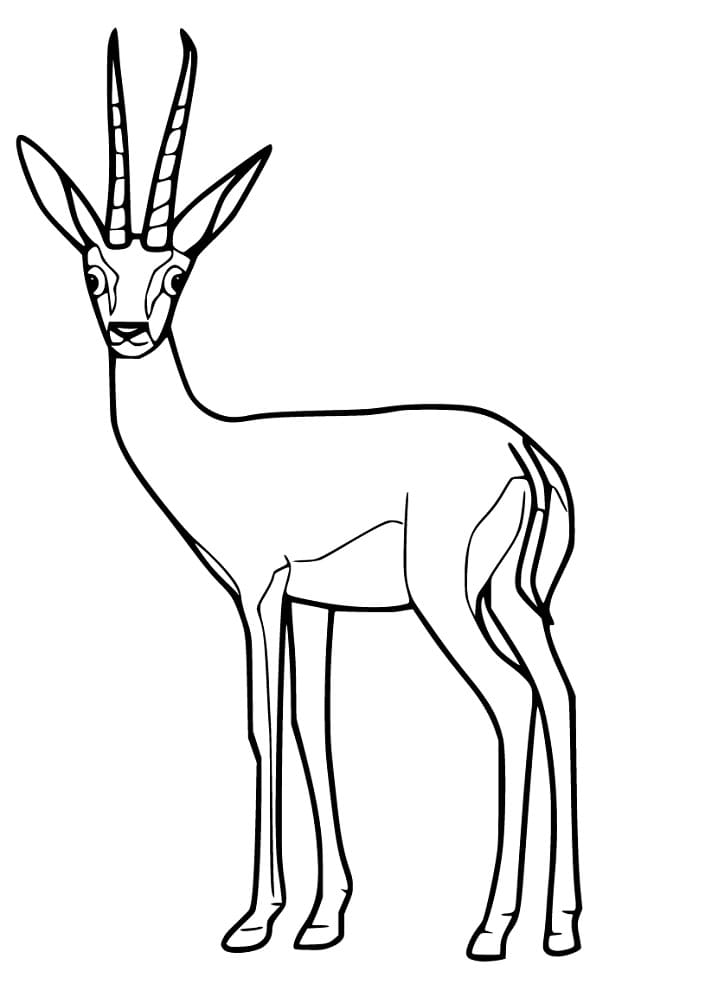 Gazelle 1 Coloring Page