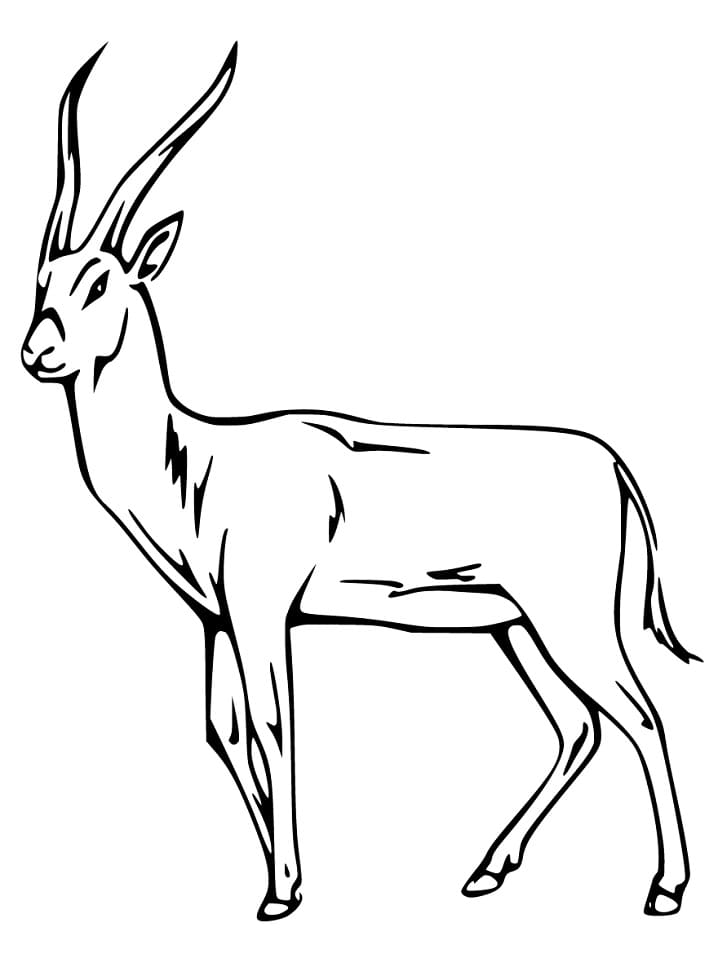 Gazelle 3 Coloring Page