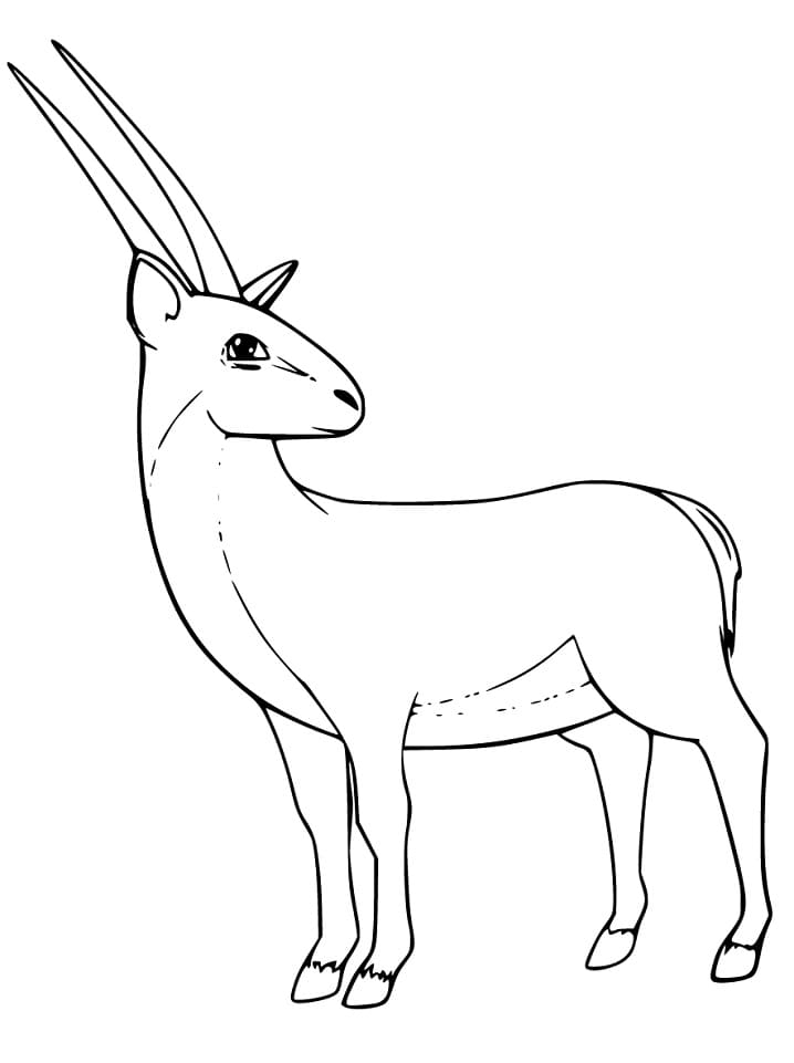 Gazelle 4 Coloring Page