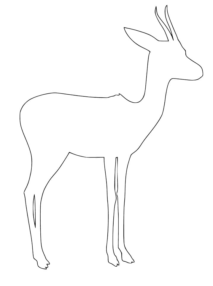 Gazelle Outline Coloring Page