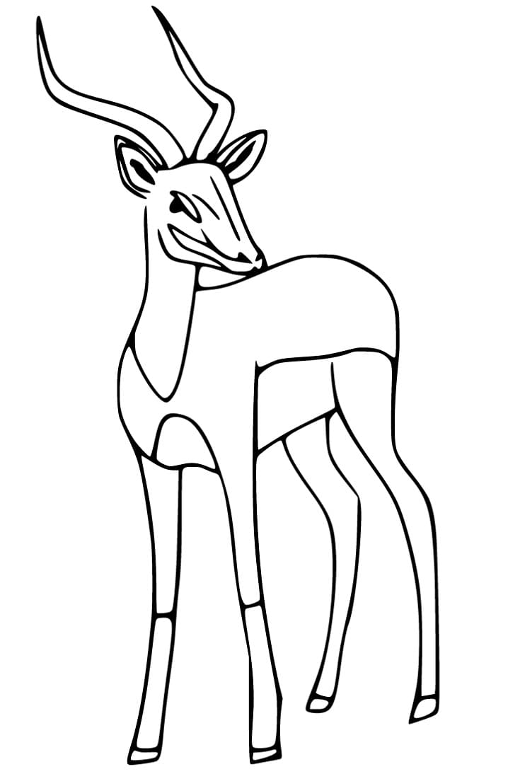 Gazelle Printable Coloring Page