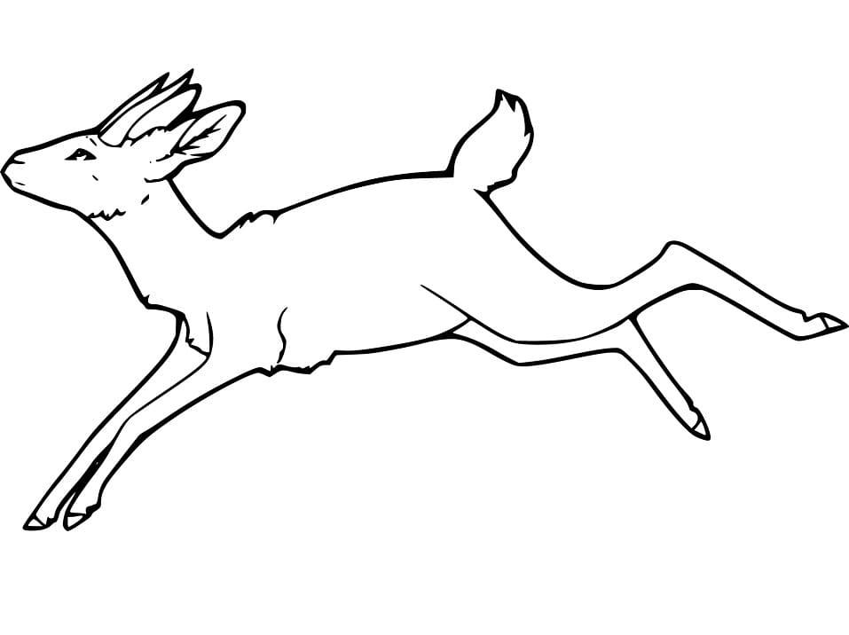 Gazelle Running Coloring Page