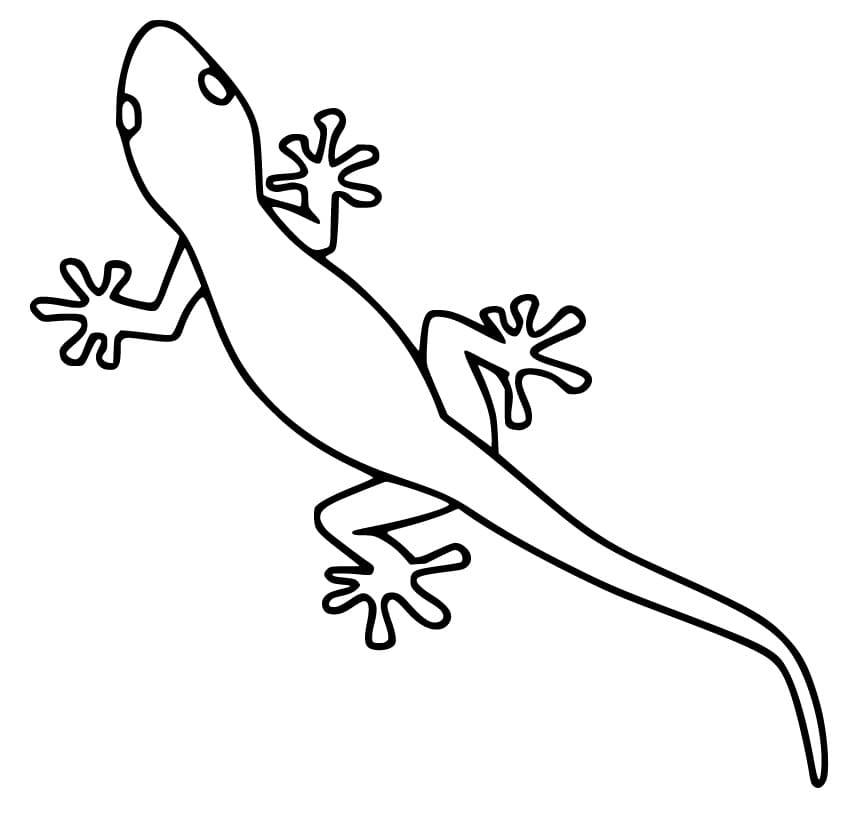 Gecko 2 Coloring Page