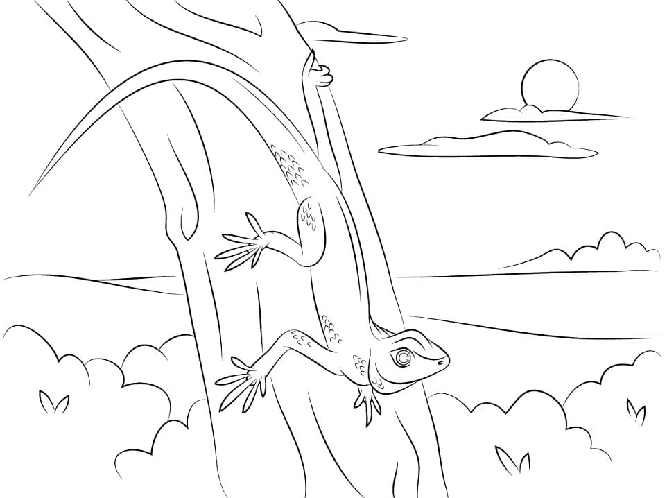 Gecko on a Tree Coloring Page