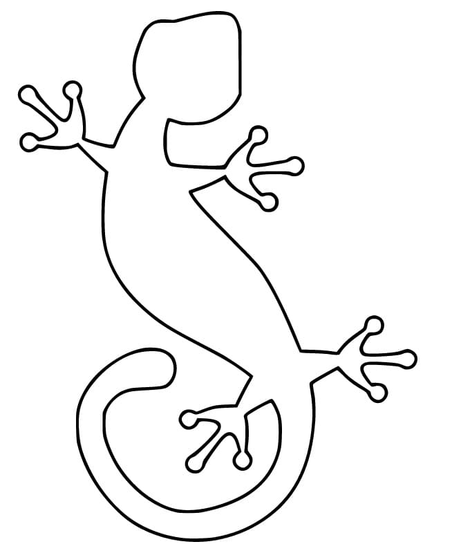 Gecko Outline Coloring Page