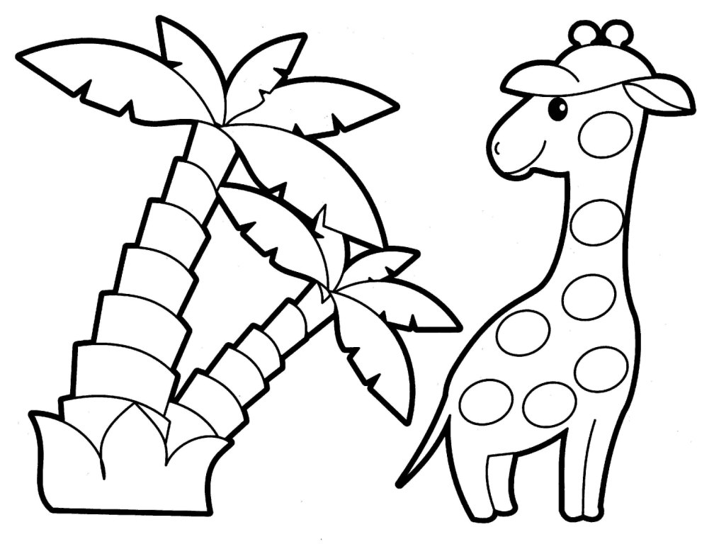 Giraffe – Jungles