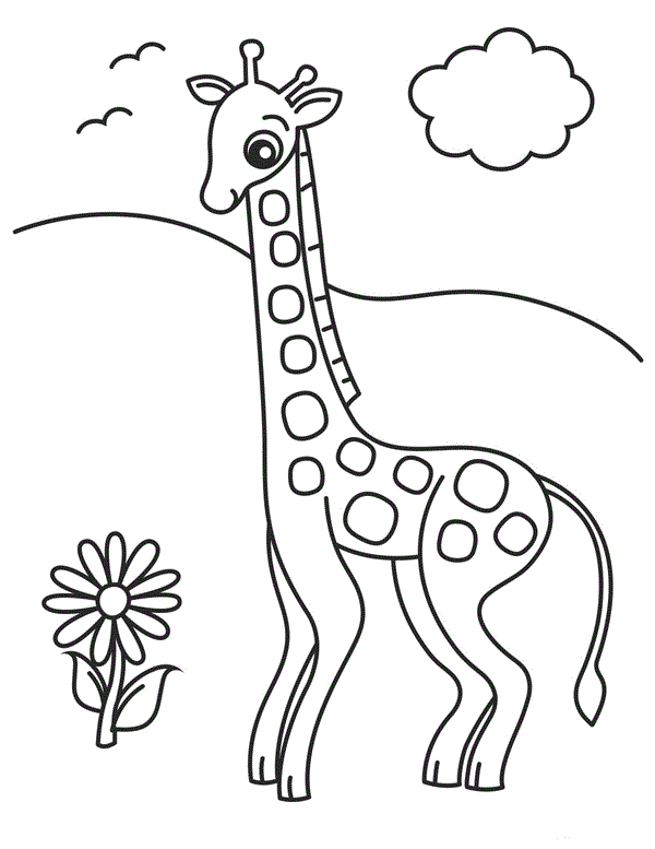 Giraffe And A Flower Animal Se8a1 Coloring Page