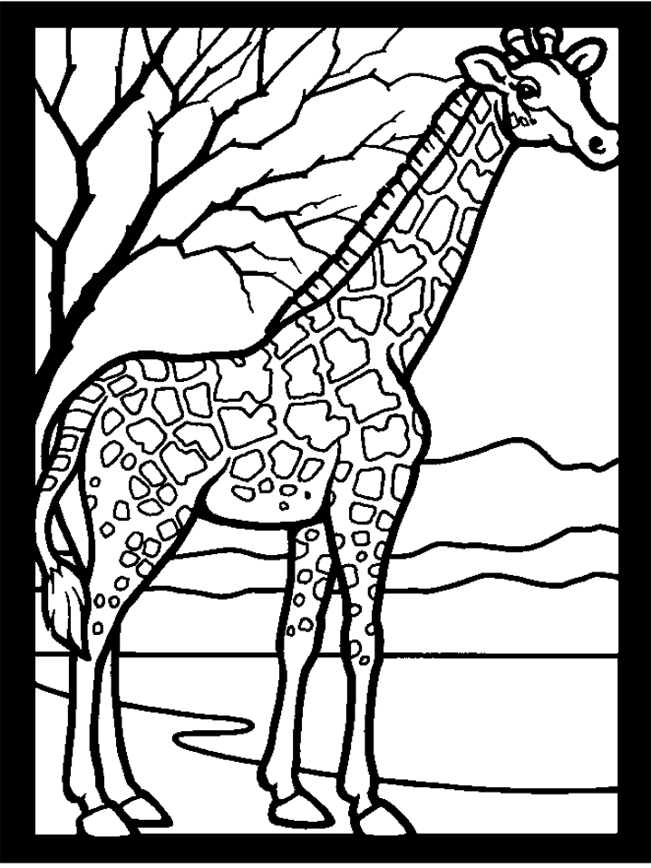 Giraffe And A Tree Coloring Page