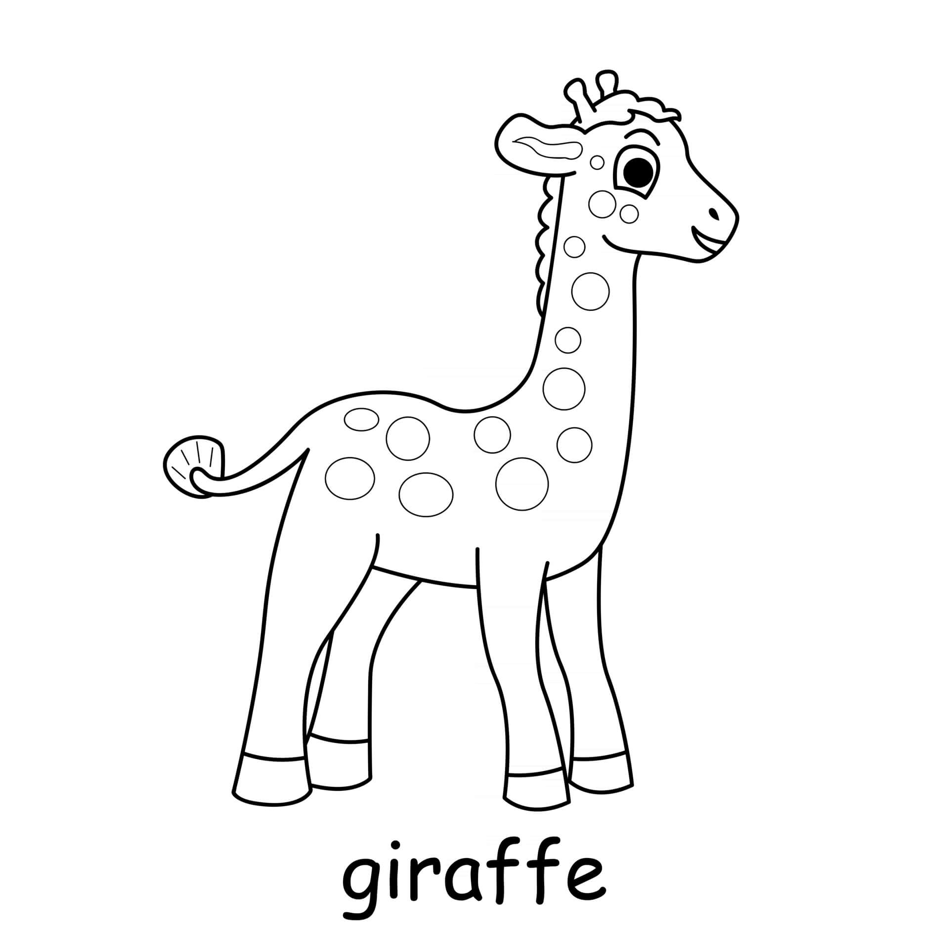Giraffe Cute Animal