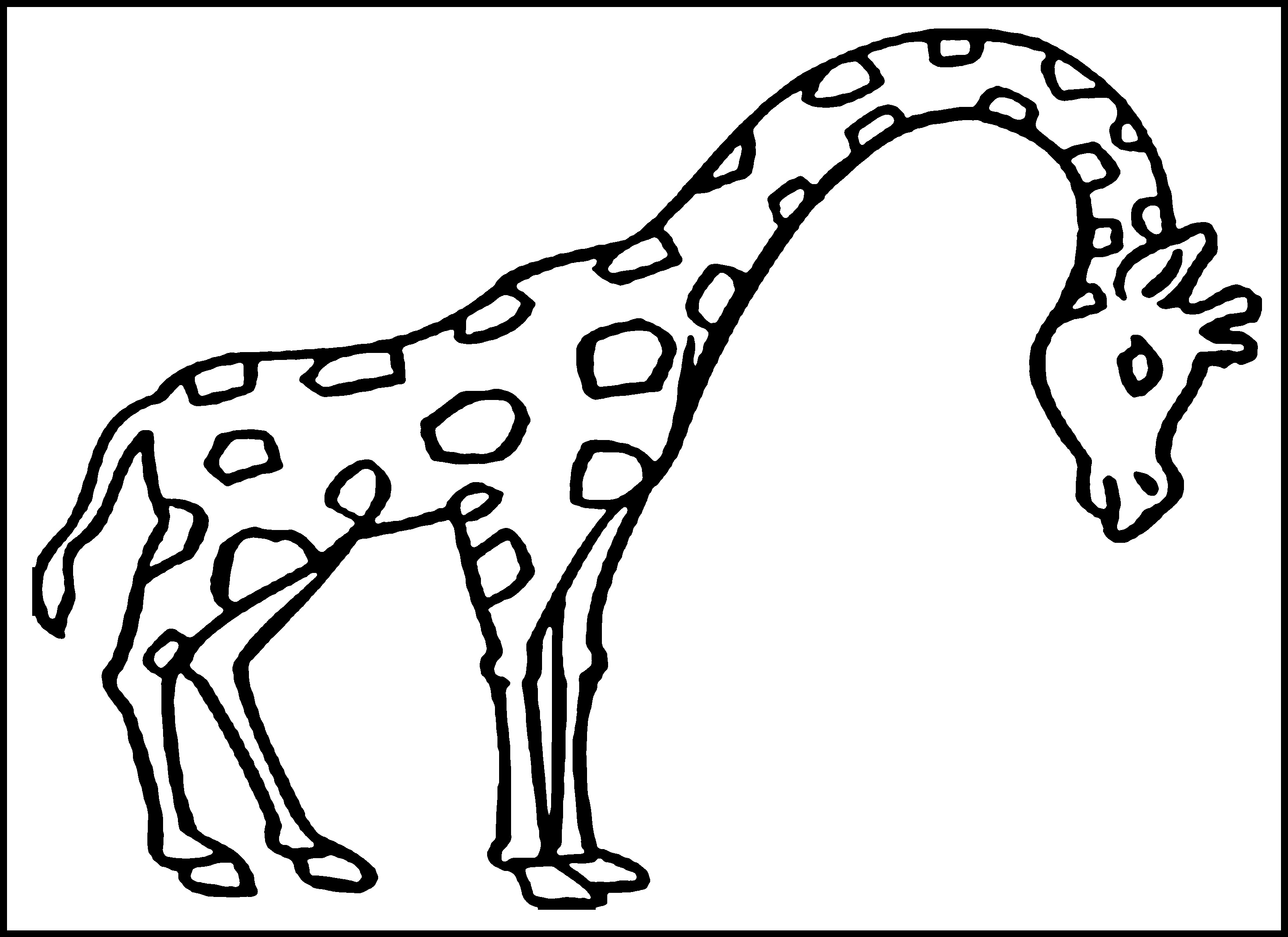 Giraffe for Kids Photo Coloring Page